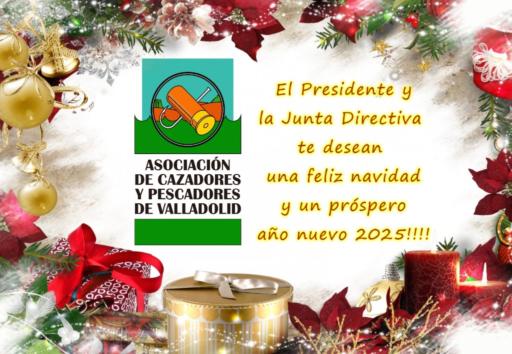 AVACAP FELICITACION NAVIDEÑA DICIEMBRE 2024